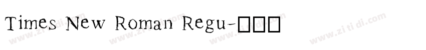Times New Roman Regu字体转换